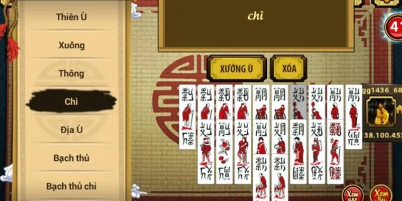 Khám phá bài chắn