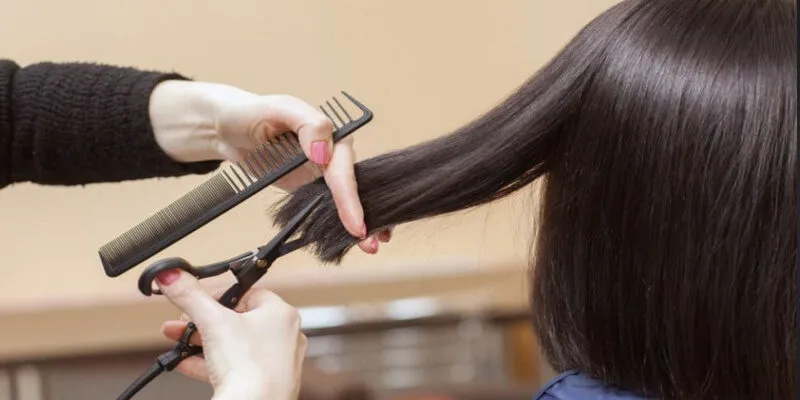 Mơ thấy cắt tóc đánh con gì ăn đề?