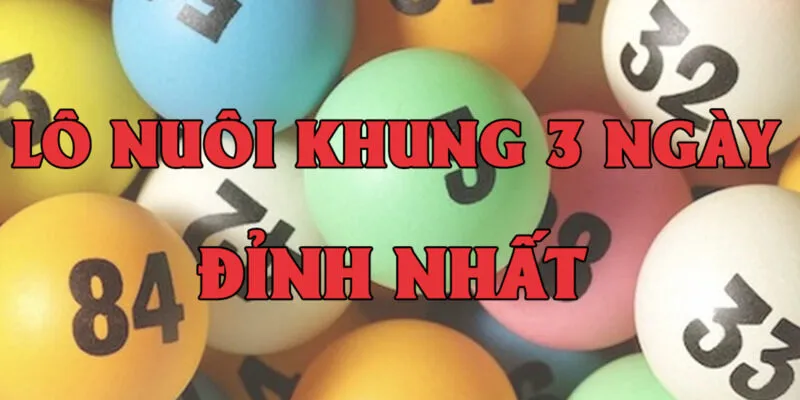 Nuôi Lô Khung 3 Ngày